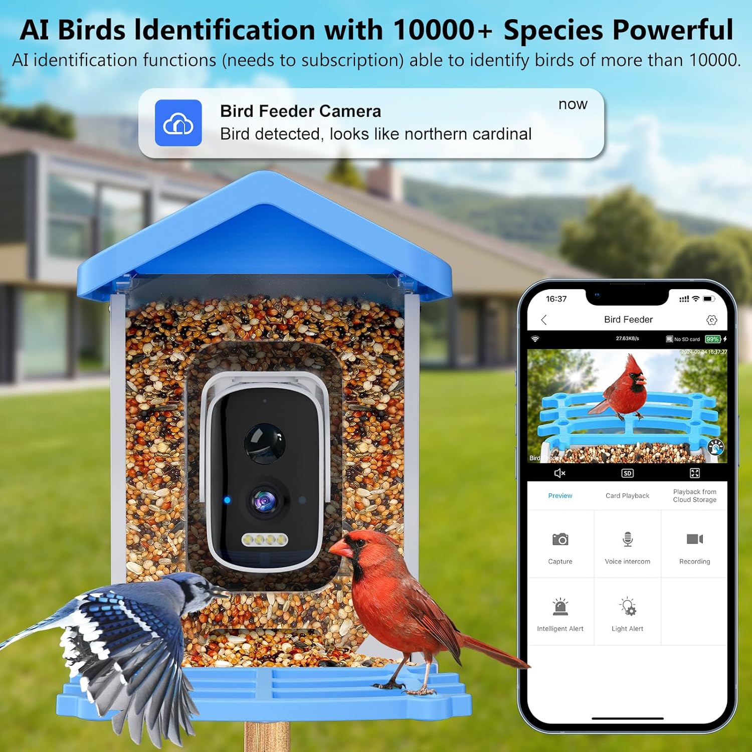 Smart Garden Ai - スマートバードフィーダー カメラ付きAI鳥種識別 ソーラー充電式 ワイヤレス屋外5MP HD WiFiバードカメラ