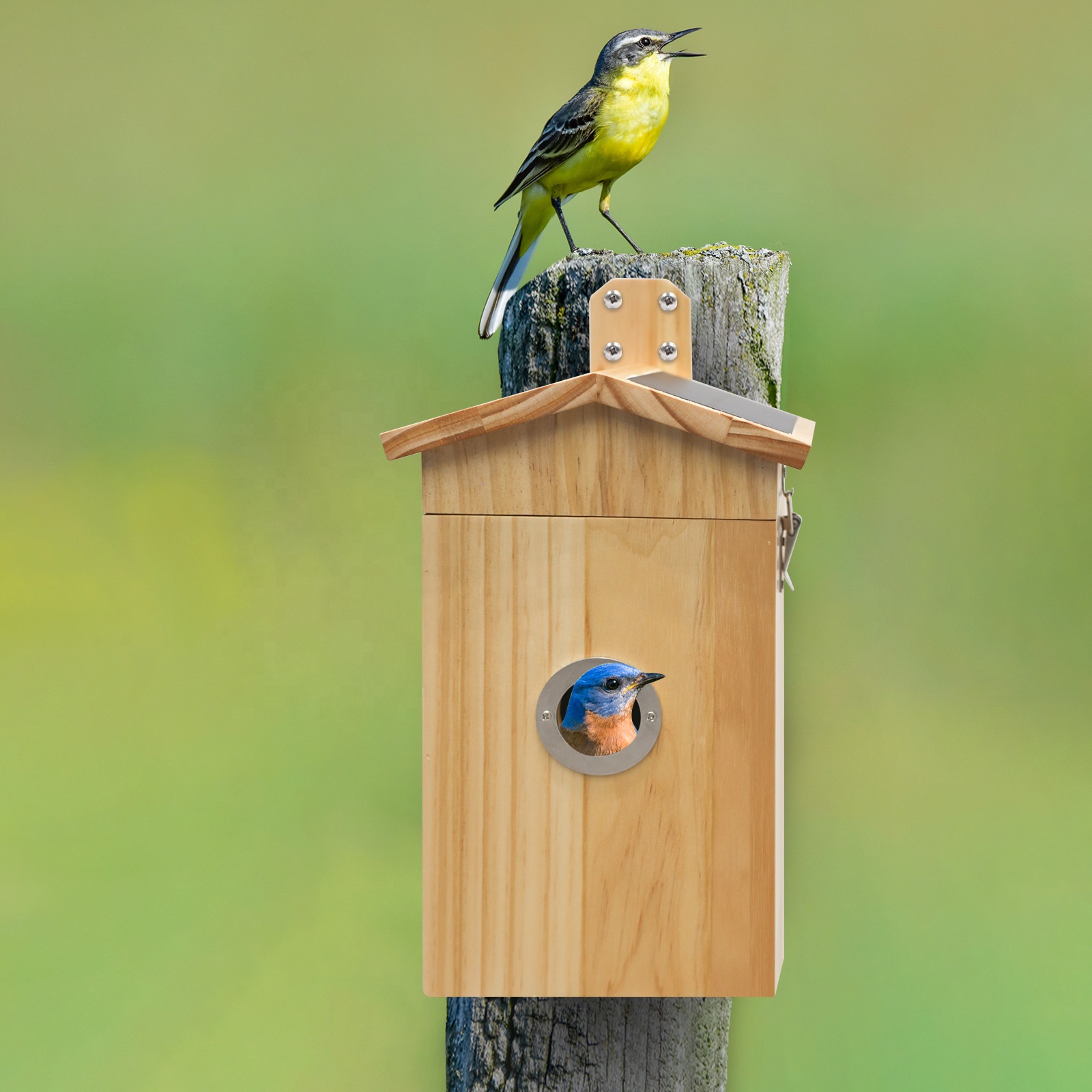 Smart Garden Ai - ナンシン 熱販売 カメラ付き鳥小屋 スマートAI鳥が写真を撮る ダブルソーラーパネル 鳥かご