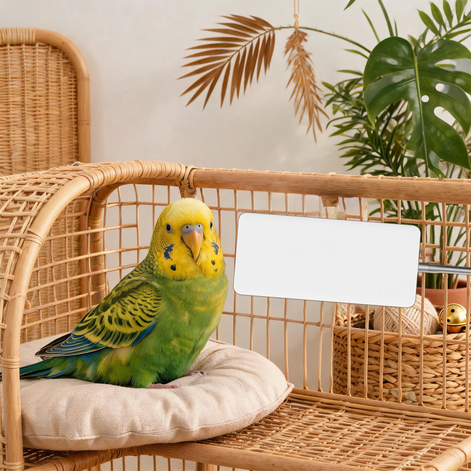 Smart Garden Bird Bath - 鳥用ヒーター 5V 安全ペット冬用保温器具 スマートオウム冬用ヒーター 庭や室内用 マコウ、オウム、スズメ、インコ用