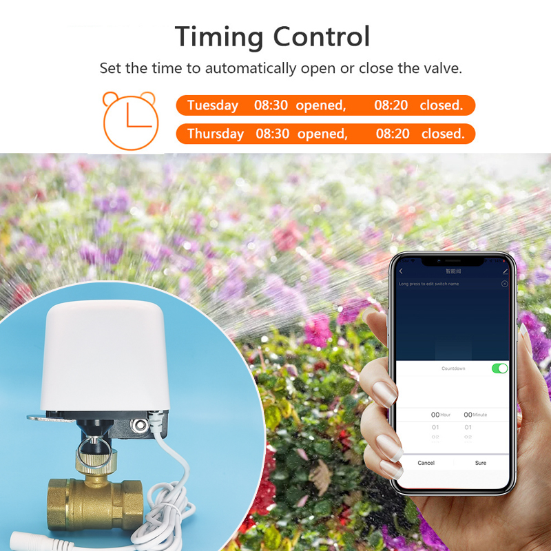 1/2インチ 3/4インチ 1インチ DN32 Tuya Z - Smart Garden Watering System のレビューと価格
