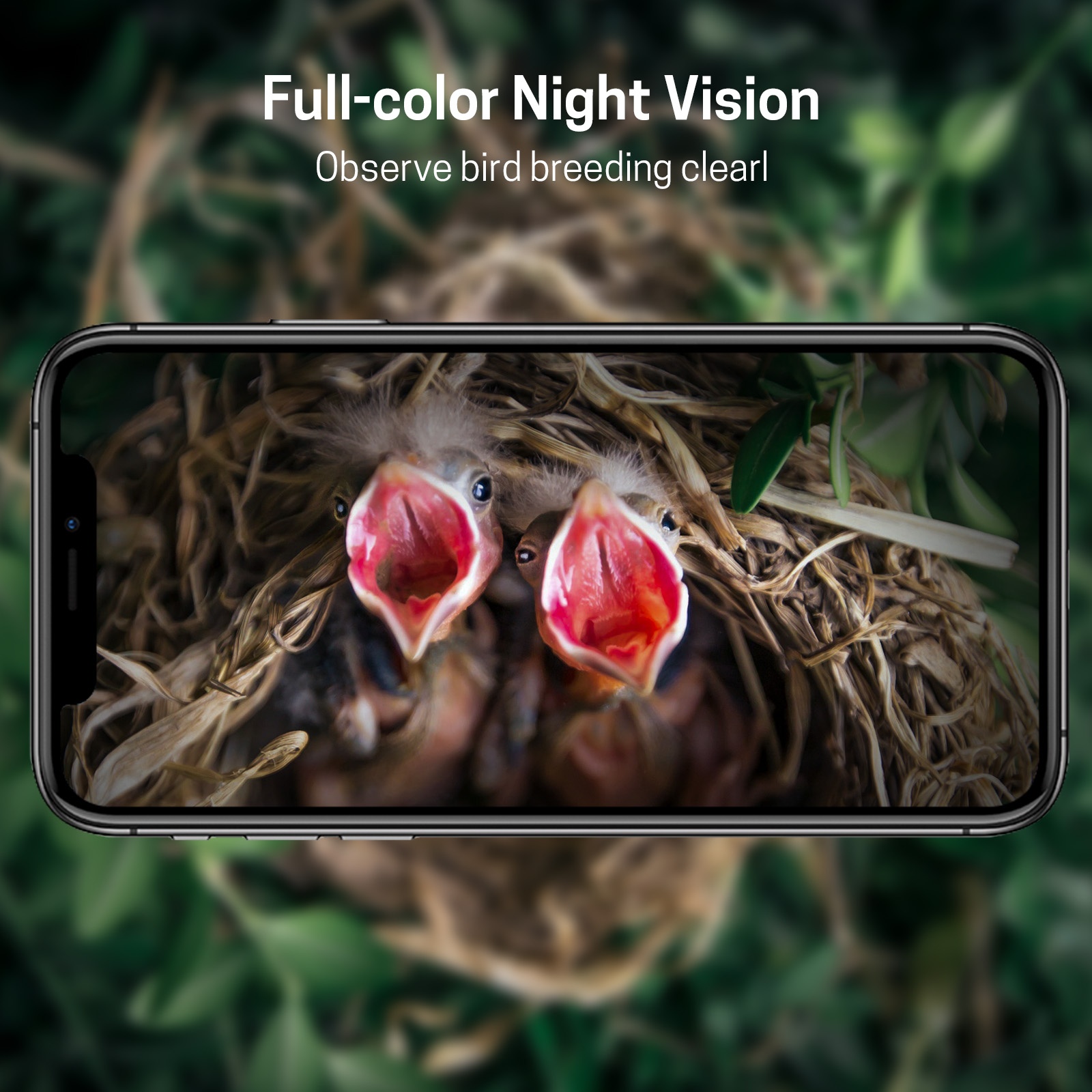 ナンシン 熱販売 カメラ付き鳥小屋 スマートAI鳥が写真を撮 - Smart Garden Ai のレビューと価格