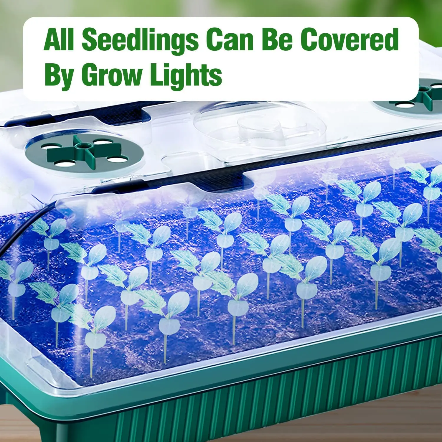 2パック、高ドーム発芽キット付き種まきトレイ - 80セル、 - Smart Garden Domes のレビューと価格